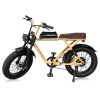 Vintage Fashion All-Road Fat Tire Electric Bike R1