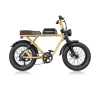 Vintage Fashion All-Road Fat Tire Electric Bike R1