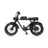 Vintage Fashion All-Road Fat Tire Electric Bike R1