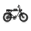 Vintage Fashion All-Road Fat Tire Electric Bike R1