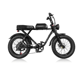 Vintage Fashion All-Road Fat Tire Electric Bike R1 (Color: Black)
