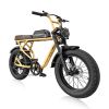 Vintage Fashion All-Road Fat Tire Electric Bike R1